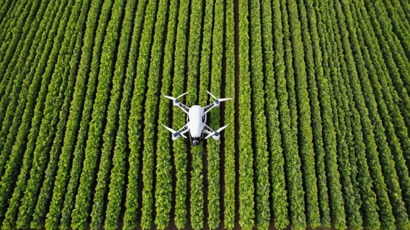 teknologi, matkrise, presisjonslandbruk, vertikalt landbruk, GMO, smart lagring, blockchain